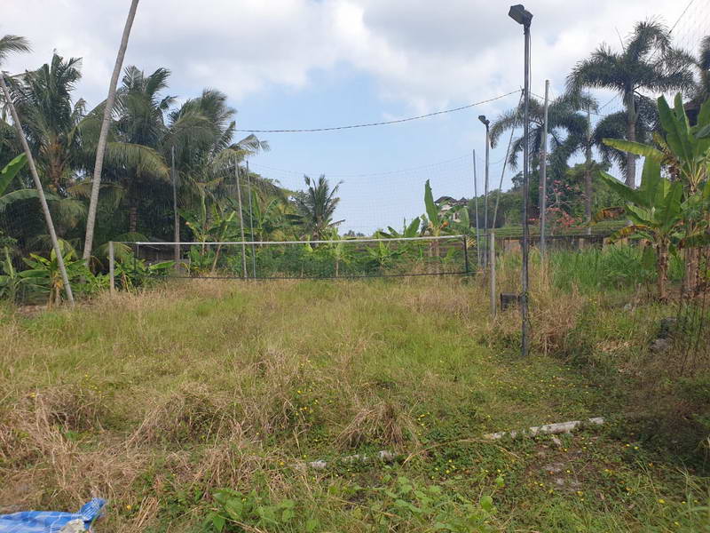 FLCemagi63  |  Indo Investments